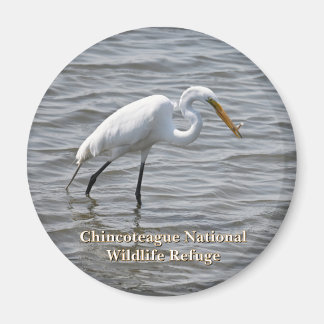 Chincoteague National Wildlife Great Heron Egret Magneet