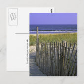 Chincoteague National Wildlife Refuge Briefkaart (Voorkant / Achterkant)