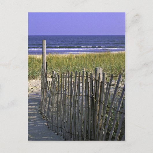 Chincoteague National Wildlife Refuge Briefkaart (Voorkant)