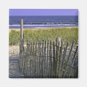 Chincoteague National Wildlife Refuge Magneet (Voorkant)