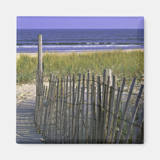 Chincoteague National Wildlife Refuge Magneet (Voorkant)