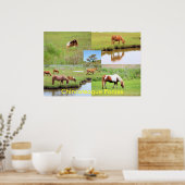 Chincoteague Ponies Collage Poster (Keuken)