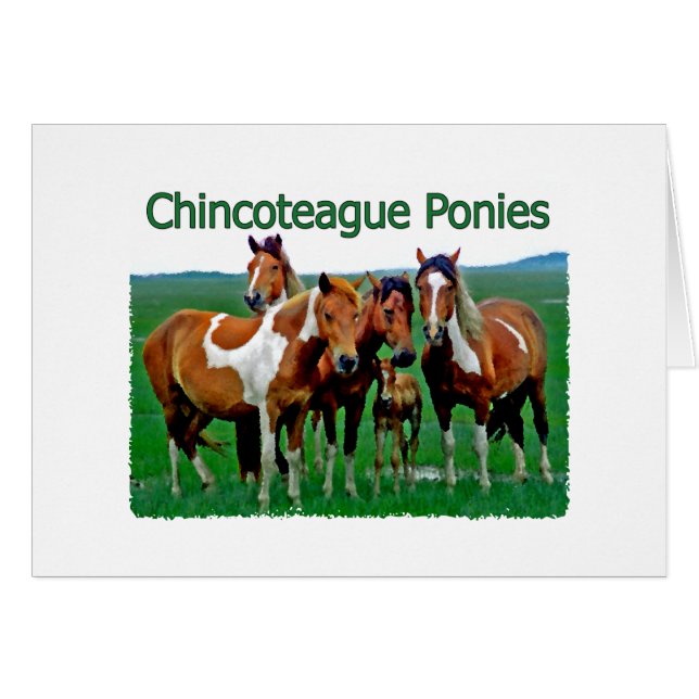Chincoteague Ponies (familie) (Voorkant Horizontaal)