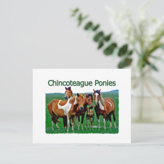 Chincoteague Ponies (familie) Briefkaart (Staand voorkant)
