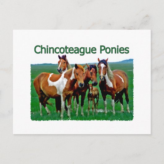Chincoteague Ponies (familie) Briefkaart (Voorkant)