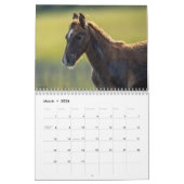 Chincoteague Ponies Wild and Free 2026 Calendar Kalender (Mar 2026)