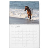 Chincoteague Pony kalender (Feb 2026)