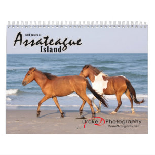 Chincoteague Pony kalender