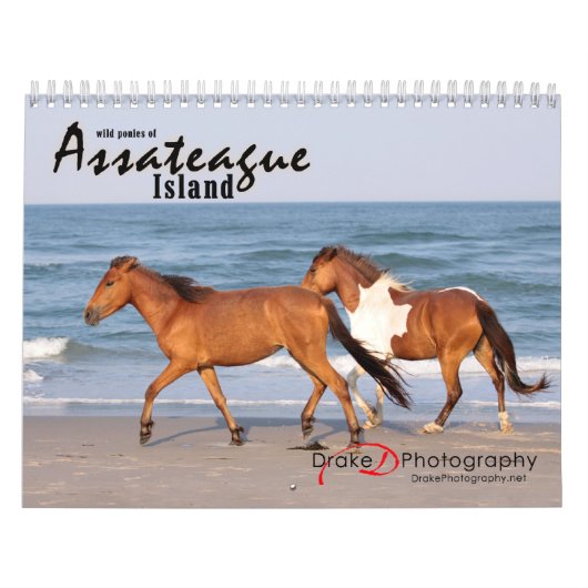 Chincoteague Pony kalender (Hoes)