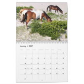 Chincoteague Pony kalender (Jan 2027)