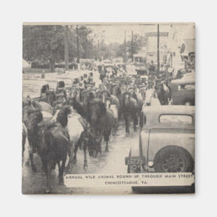 Chincoteague Pony Paard Briefkaart Kunst Magneet