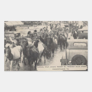 Chincoteague Pony Paard Briefkaart Kunst Rechthoekige Sticker