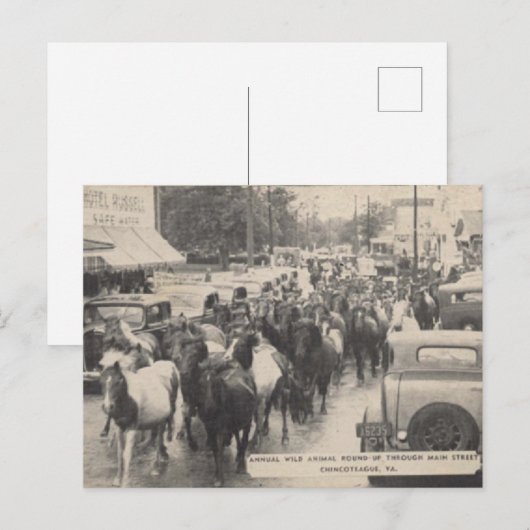 Chincoteague Pony Vintage 1941 Briefkaart (Voorkant / Achterkant)