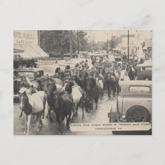 Chincoteague Pony Vintage 1941 Briefkaart (Voorkant)