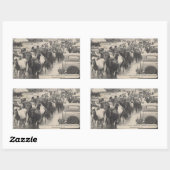 Chincoteague Pony Vintage 1941 Briefkaart Rechthoekige Sticker (Vel)