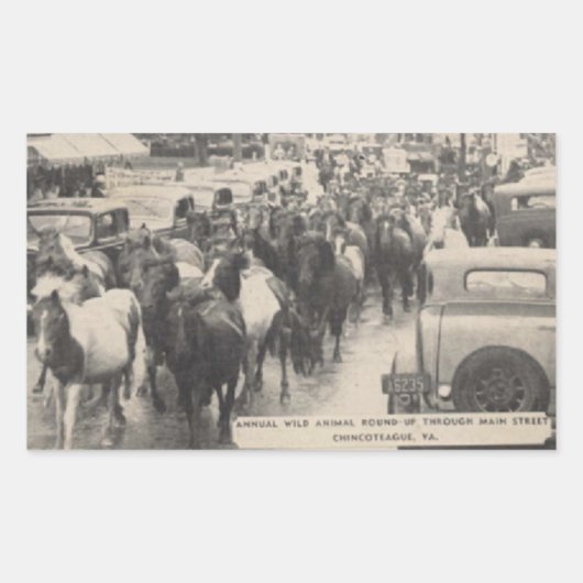Chincoteague Pony Vintage 1941 Briefkaart Rechthoekige Sticker (Voorkant)