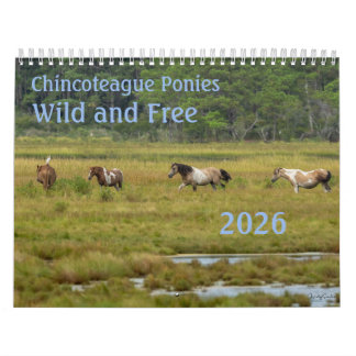 Chincoteague Pony's Wild en Vrij 2026 Kalender