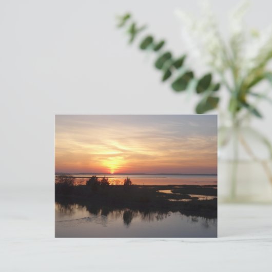 Chincoteague Sunset II Virginia Landschap Briefkaart (Staand voorkant)