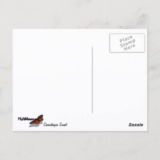 Chincoteague Sunset II Virginia Landschap Briefkaart (Achterkant)