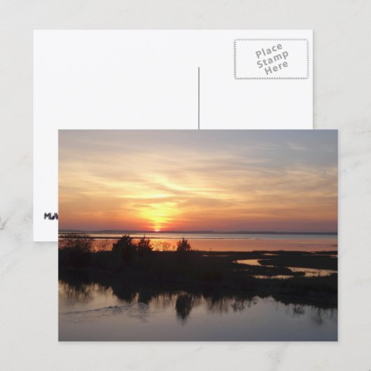 Chincoteague Sunset II Virginia Landschap Briefkaart (Voorkant / Achterkant)