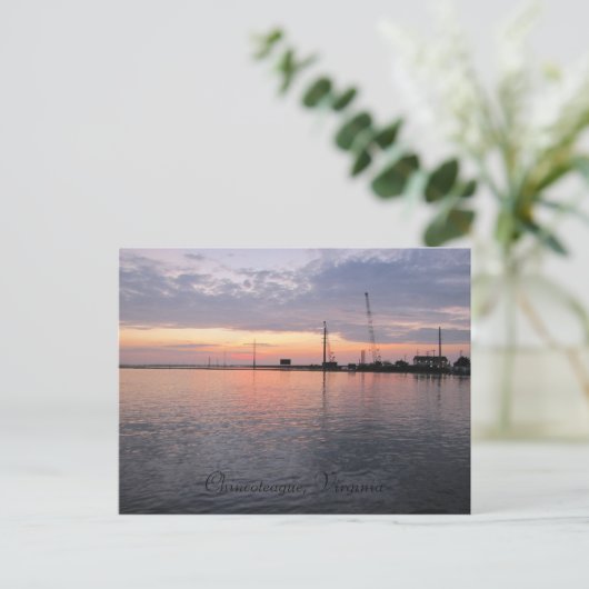 Chincoteague, Virginia Briefkaart (Staand voorkant)