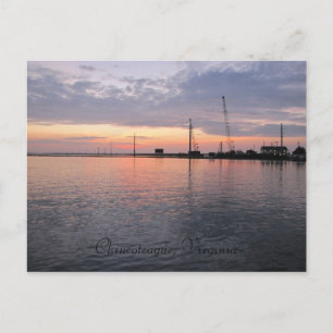 Chincoteague, Virginia Briefkaart