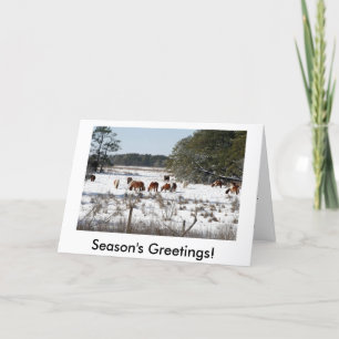 Chincoteague Wilde Pony Kerst Kaarten