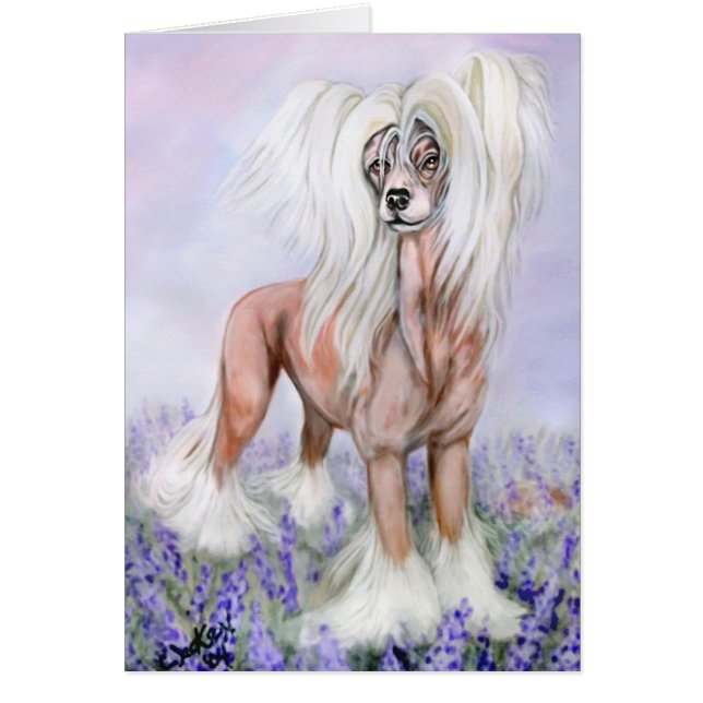 Chine Crested Blue Bonnets (Voorkant)