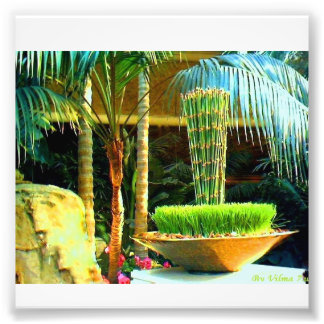 Chinees Bambu Foto Afdruk