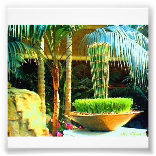 Chinees Bambu Foto Afdruk (Voorkant)