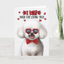 Chinees Bichon Frise Dog Loving You Valentijn