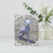 Chinees Briefkaart voor gebluste honden (Staand voorkant)