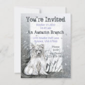 Chinees Crested Blue Kaart (Achterkant)