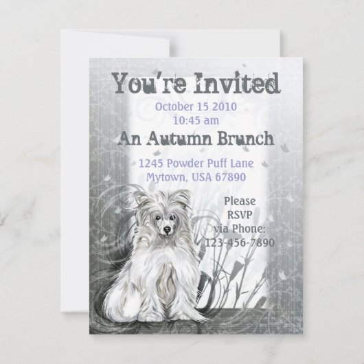 Chinees Crested Blue Kaart (Achterkant)