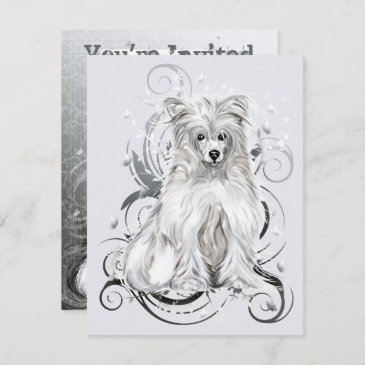 Chinees Crested Blue Kaart (Voorkant / Achterkant)