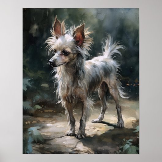 Chinees Crested Dog Art Print Poster (Voorkant)