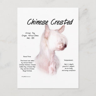Chinees Crested (haarloos) Geschiedenis Ontwerp Briefkaart