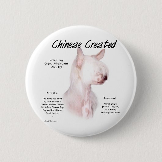 Chinees Crested (haarloos) Geschiedenis Ontwerp Ronde Button 5,7 Cm (Voorkant)