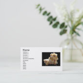 Chinees drakenVisitekaartje Visitekaartje (Staand voorkant)