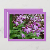 chinees gemalen orchidee Briefkaart (Voorkant / Achterkant)