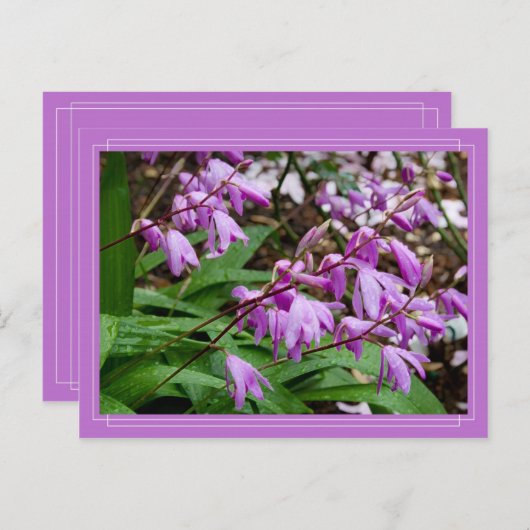 chinees gemalen orchidee Briefkaart (Voorkant / Achterkant)