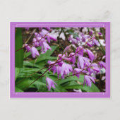 chinees gemalen orchidee Briefkaart (Voorkant)