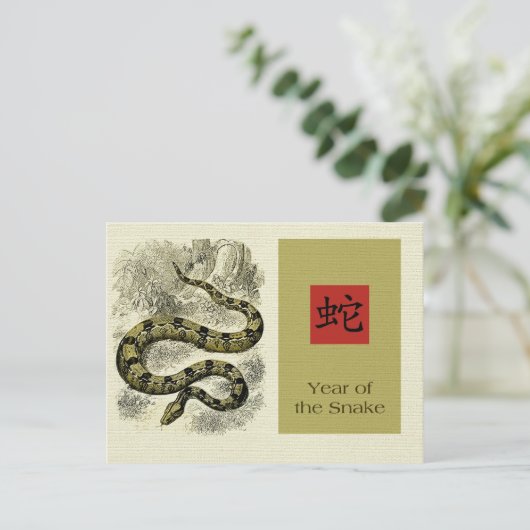 Chinees jaar van de Briefkaarten van de slang (Staand voorkant)