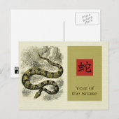 Chinees jaar van de Briefkaarten van de slang (Voorkant / Achterkant)