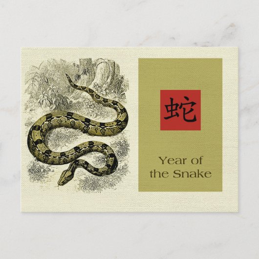 Chinees jaar van de Briefkaarten van de slang (Voorkant)