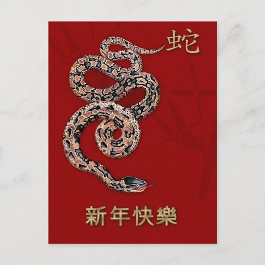 Chinees jaar van de Briefkaarten van de slang in h (Voorkant)