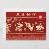 Chinees Jaar van het Aangepaste Jaar van de Konijn Feestdagenkaart (Voorkant)