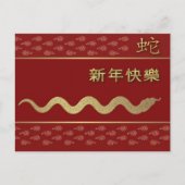 Chinees jaar van het Briefkaart van de slang in he (Voorkant)