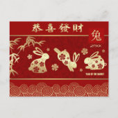 Chinees jaar van het konijn | Aangepast jaar Feestdagenkaart (Voorkant)