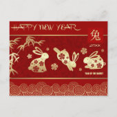 Chinees jaar van het konijn | Aangepast jaar Feestdagenkaart (Voorkant)